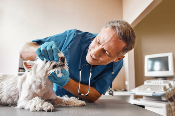 Best Emergency Treatment for Dental Infections or Abscesses in Leesburg, GA