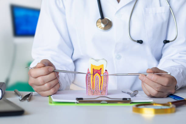 Best Emergency Wisdom Teeth Removal in Leesburg, GA